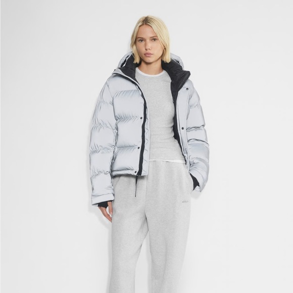 Aritzia Jackets & Blazers - Aritzia super puff shorty